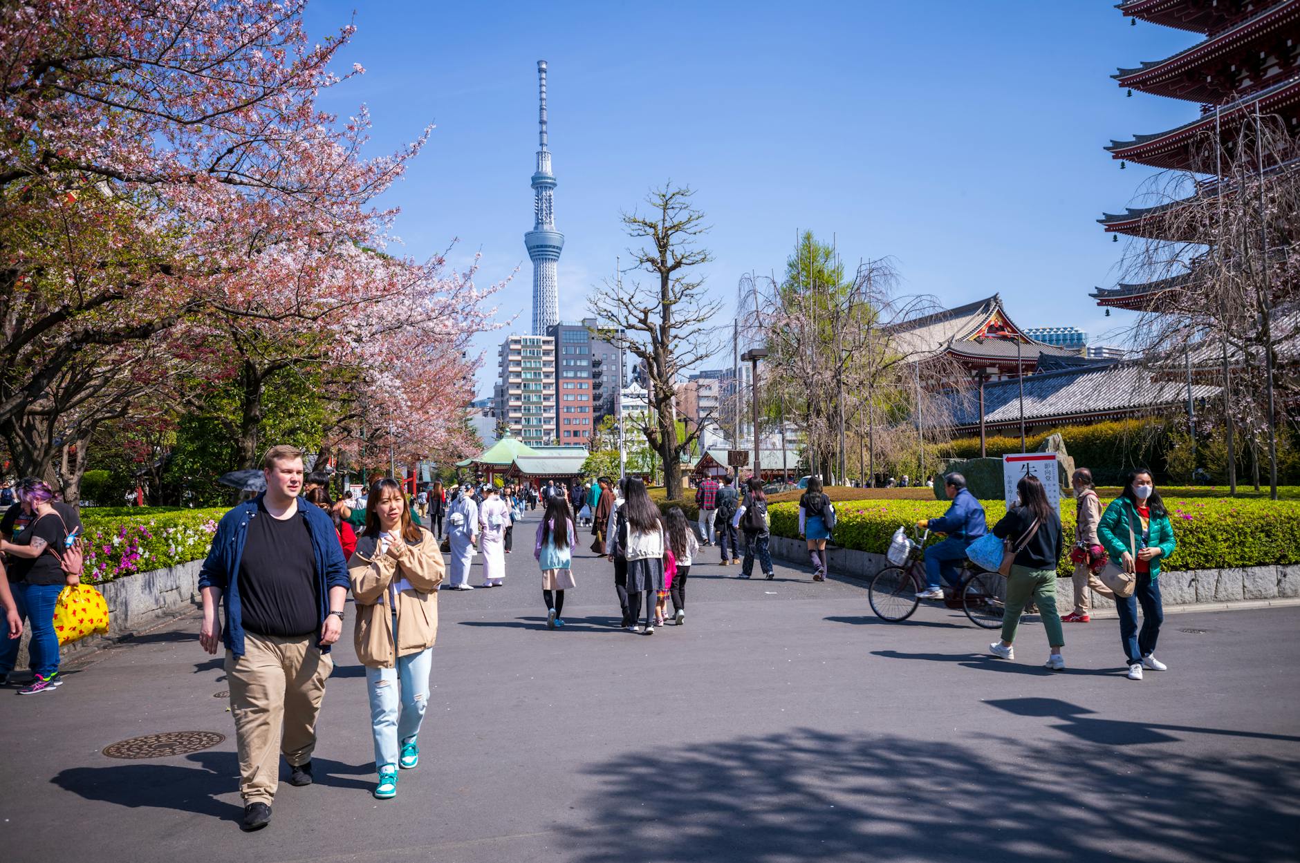 First Time in Japan? Here's the Perfect 2-Week Itinerary for 2026 (With Real Costs)