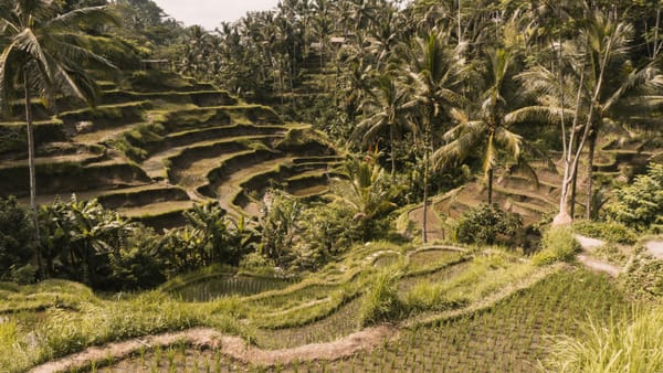 First Time in Bali? Here's the Perfect 2-Week Itinerary for 2026 (With Real Costs)